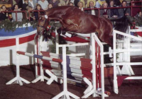 conceptfre jump